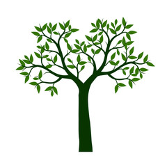 Obraz premium Shape of Spring Tree. Vector Outline Illustration.