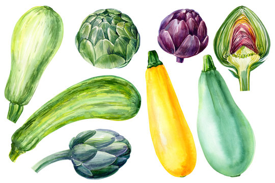 autumn set vegetables, zucchini, artichoke on isolated white background, watercolor illustration