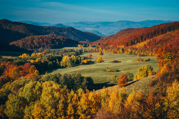 Colorful autumn landscape, green meadow, blue sky, orange and red trees