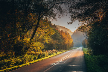 Road in beautiful autumn nature. Calm evening scenery