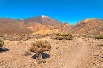 Fototapeta na wymiar Volcanic landscape in Teide National Park