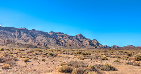 Volcanic landscape in Teide National Park