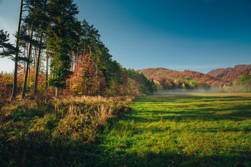 Peaceful autumn morning scenery by Carpathian forest