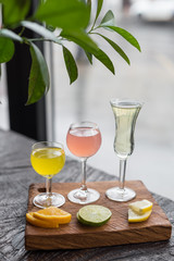 Assorted Homemade Citrus Liqueurs Limoncello Served with Orange, Lime and Lemon Slices