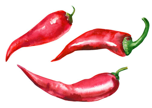 red chili pepper on isolated white background, watercolor illustration
