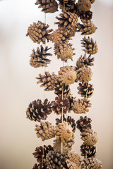 Close up of hanging pine cones on a rope. Decoration with blurred background.