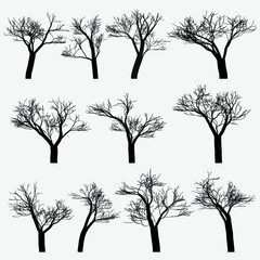 Drawn vector eps trees without foliage, black autumn, different for creating a forest