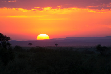 Obraz premium Breathtaking sunset in Masai Mara National Park in Kenya, Africa