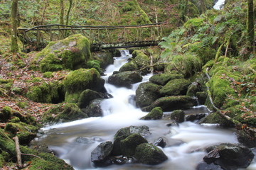 Obraz premium Wodospad w lesie