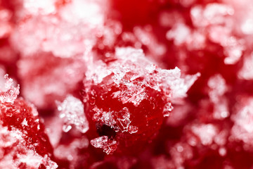 Abstract red winter background. Frozen red currants close-up. Blurred. Macro photo.
