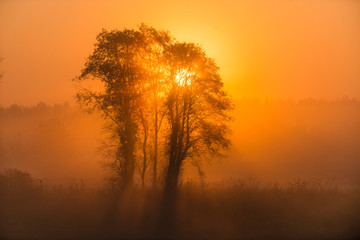 Sunrise and morning fog