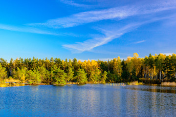 utumn forest on shore of lake with blue skies.