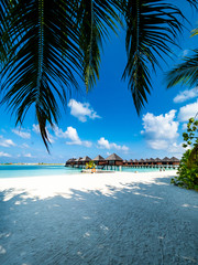 Maldives island with beach water bungalows and palm trees, South Male Atoll, Maldives