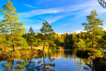 utumn forest on shore of lake with blue skies.
