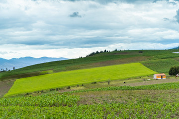 Obraz premium Andean landscape, agricultural crops near Lake San Pablo, Imbabura, Ecuador
