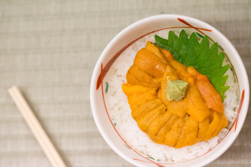 Japanese rice bowl topped with fresh and creamy Uni (Sea Urchin) with Wasabi