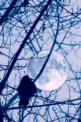satellite dish on blue background