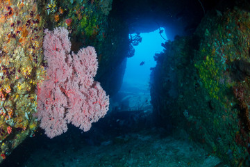 Fototapeta na wymiar An underwater swim-through on a tropical coral reef in Thailand's Similan Islands