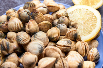 view of fresh cockles on a plate