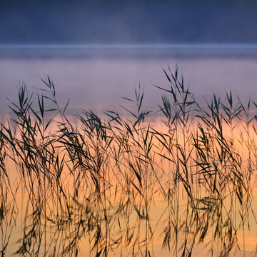 Saimaa Lake In Finland