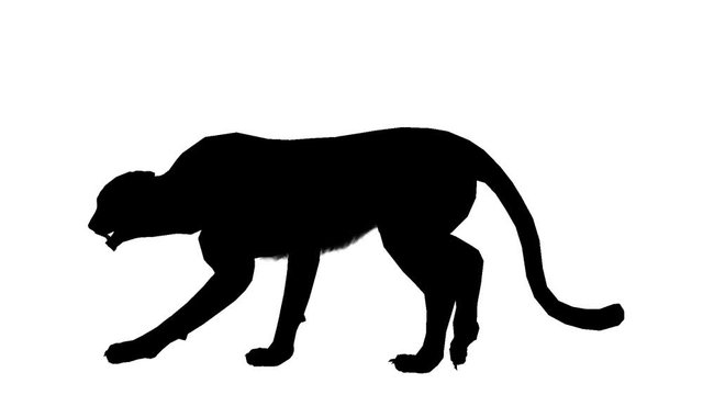 Cheetah silhouette. Alpha channel. Alpha matte. FullHD.
