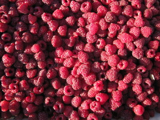 background of raspberries