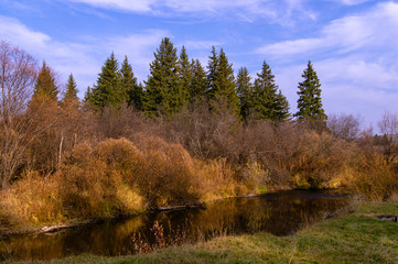 Forest river. Sky. Ate. Bushes.