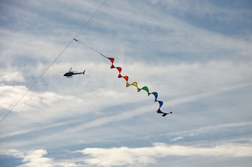 cerf volant 05