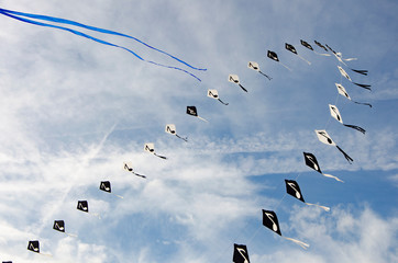 cerf volant 06