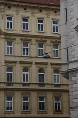 Classic architecture in Austria