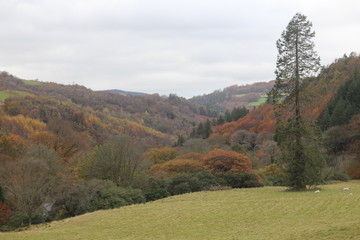 Fototapeta na wymiar autumn in the mountains