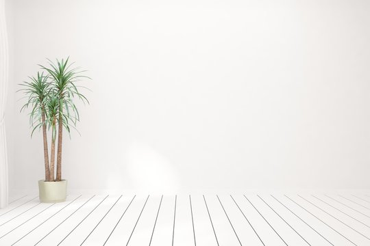 Empty room in white color with green home plant. Scandinavian interior design. 3D illustration
