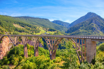 Fototapeta na wymiar Famous Durdevica Tara Bridge in Montenegro 