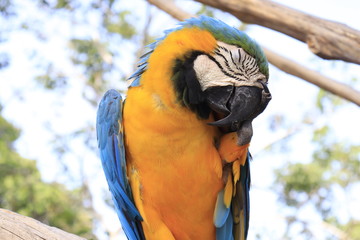 A beautiful view of Bird Park in Bali, Indonesia