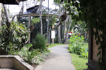 A beautiful view of Bird Park in Bali, Indonesia