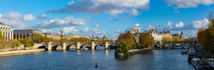 Fototapeta na wymiar Island in the Seine river