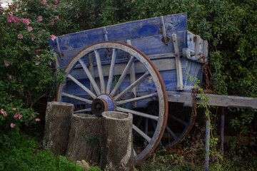 Obraz premium old wagon and wheel