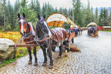 ZAKOPANE, POLAND - NOVEMBER 04, 2019: Tatra National Park in Polish High Tatra Mountains. Horse cart on the road to Lake Morskie Oko (Eye of the Sea Lake) from Palenica Bialczanska near Zakopane. © promesaartstudio