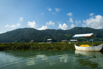Fototapeta premium Catamarans with awnings are tied near a pier in the grass to the shores of Lake Feva, in Pokhara (Nepal). On the opposite shore Anadu Hill and Shanti Stupa (Peace Pagoda) on it
