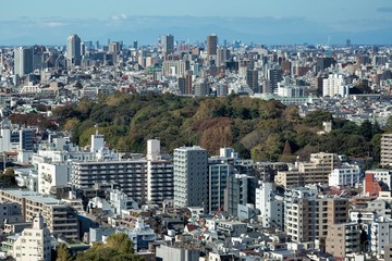 Fototapeta na wymiar Tokyo City view from Bunkyo Observation Deck