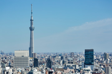 Fototapeta premium Tokyo Skytree view from Bunkyo Observation Deck