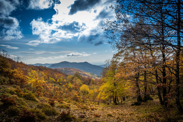 Fototapeta premium Trekking from Pontito to Penna di Lucchio, Lucca - Tuscany