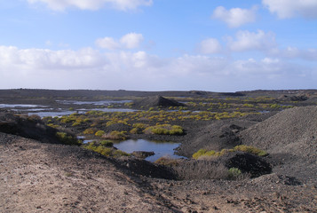 dunkle lavah&uuml;gel bis zum horizont
