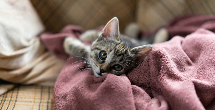 dead center cuttie