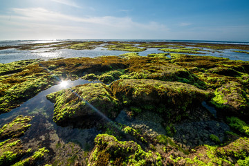 A beautiful view of Uluwatu beach in Bali, Indonesia.