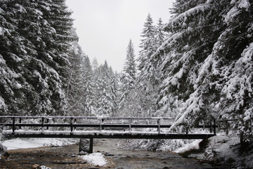 a bridge over the stream in the snow-covered forest