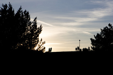 Silhouettes of trees and people on sunset sky background