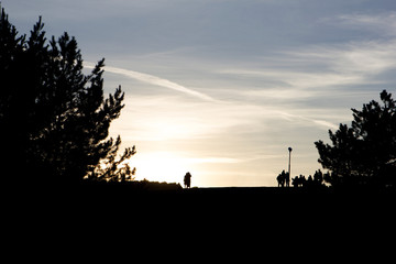 Silhouettes of trees and people on sunset sky background