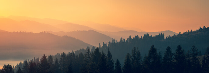 Majestueus herfstlandschap van mistige vallei in de Karpaten bij zonsopgang in de vroege ochtend. Mooi tonaal perspectief groothoekpanorama.