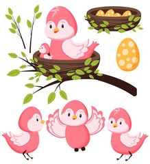 Spring set of elements. Birds, nests with eggs and Chicks, twigs with green leaves. Isolated on white background. Templates for postcards, stickers.